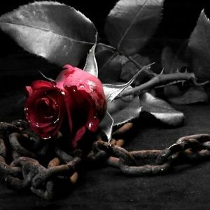 Meet your Posher, Lino